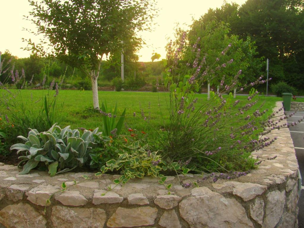 House Sekulic Hotel Grabovac  Buitenkant foto